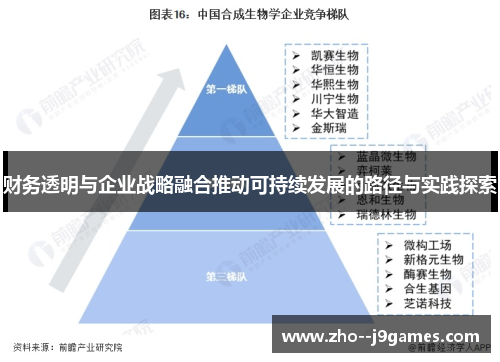 财务透明与企业战略融合推动可持续发展的路径与实践探索